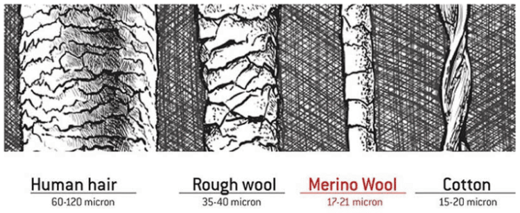 Merino wool fiber thickness